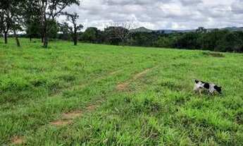 Imagem 4: Vendo fazenda no município de Formoso GO