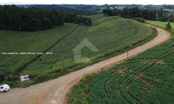 Imagem 5: Área para Venda, Campo Largo / PR, bairro Colônia Figueiredo, área total 16.137,00 m²