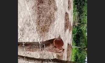 Imagem 3: Vendo Terreno em Sucatinga Berberibe