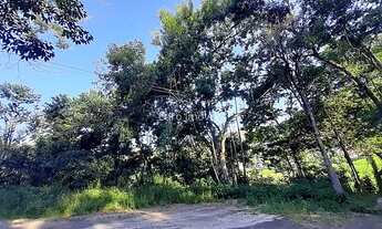 Imagem 4: Cód.: 11024 - Parque das Palmeiras