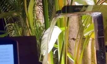 Imagem 4: Casa á venda em condomínio na Zona Sul, 3 suítes, repleta de armários, Uberlândia-MG