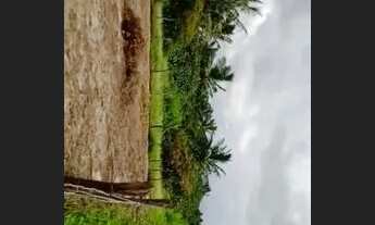 Imagem 7: Vendo Terreno em Sucatinga Berberibe