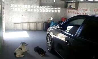 Imagem 2: Aluga-se Casa Casa com 3 dormitórios