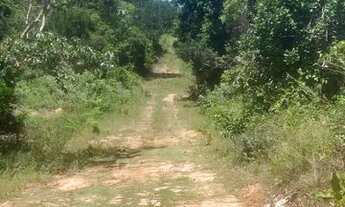 Imagem 4: Terreno Porto de Sauípe