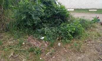 Imagem 6: Terreno para Venda - 0m², 0 dormitórios, Lageado, Porto Alegre