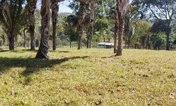 Imagem 4: Chácara para venda possui 1 alqueire de Terra