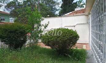 Imagem 3: São Paulo - Casa Padrão - Santo Amaro