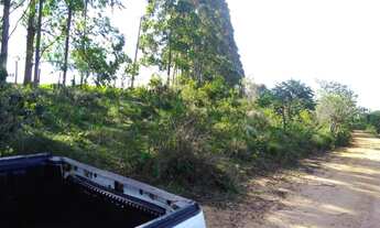 Imagem 5: Terreno 22 Hectares em Desterro de Entre Rios - MG