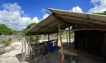 Imagem 5: 50 Hectares em Santo Amaro