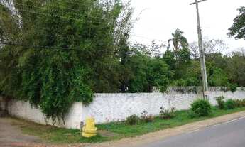 Imagem 3: Terreno para Venda - 0m², 0 dormitórios, Belém Novo