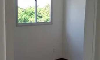 Imagem 11: Aluga-se apartamento em Campo Grande