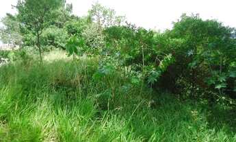 Imagem 7: Terreno para Venda - 0m², 0 dormitórios, Altos do Ipê