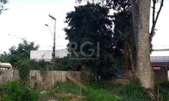 Imagem 4: Terreno para Venda - 0m², 0 dormitórios, Lageado, Porto Alegre