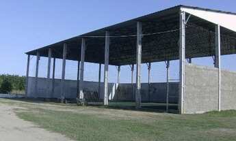 Imagem 2: MACIEL IMÓVEIS OFERTA MI9082