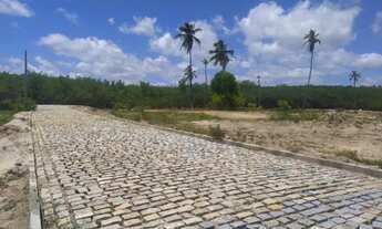 Imagem 4: Terreno em Paripueira - Loteamento Dom Valenthym