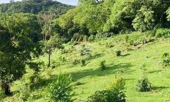 Imagem 7: Excelente área para investimento em ecoturismo em Valinhos!