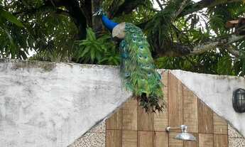 Imagem 4: ASA NO BAIRRO SUÍSSA / AV. EXPLOSÃO [24597