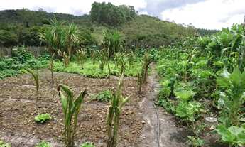 Imagem 7: Terreno 13 ha, com casa, água por gravidade, nascente, Serra do Cipó