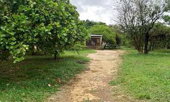 Imagem 7: Mini Chácara Chácara com venda por R$180.000