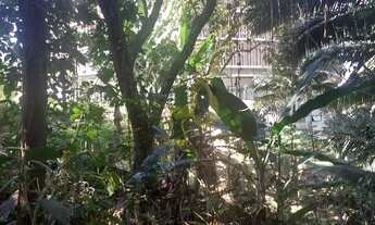 Imagem 3: ÓTIMO TERRENO NO MORUMBI