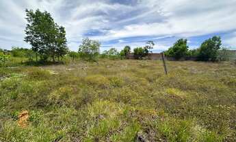 Imagem 7: Lote/Terreno para venda 20x53 tem 1060 metros quadrados em Praia do Frânces - Marechal Deo