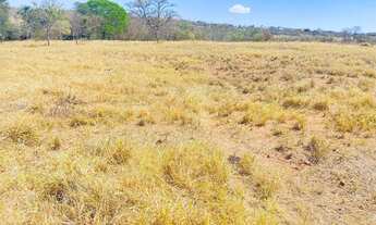Imagem 7: Chácaras apartir de 1000 m apenas 65 km de Goiânia 1.5 km de chão