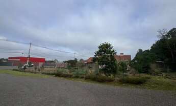 Imagem 3: Imóvel no Cidade Nova, Ivoti