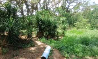 Imagem 3: Aluguel pasto Chácara com aluguel por R$400 /mês