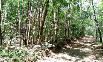 Imagem 6: Chácara para Venda em Abadiânia, Zona rural