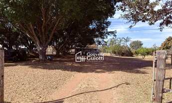 Imagem: Fazenda em Alexânia 126 ha Plana, Dupla