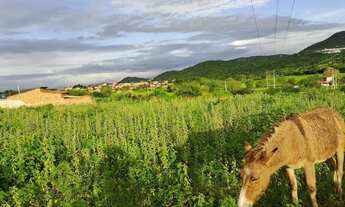 Imagem 6: Vendo ou troco Terreno / lote com venda por R$250.000