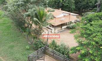 Imagem 7: FAZENDA A VENDA 32 ALQUEIRES (154,88 HA) EM CALDAS NOVAS - GO