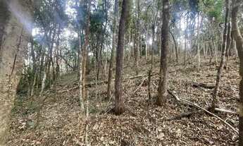 Imagem: Chácara 1000m2 oportunidade