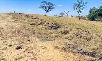 Imagem 3: Chácaras apartir de 1000 m apenas 65 km de Goiânia 1.5 km de chão