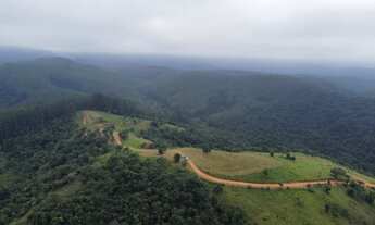 Imagem 3: Área de 20.000m2 na estrada Tremembe/Campos do Jordão