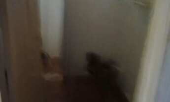 Imagem 4: Alugo caso de 2 quartos na Vila da Penha, próximo ao Largo do Bicão