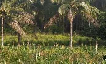 Imagem 5: OPORTUNIDADE!!! LOTES GRANDES, PREÇOS ESPECIAIS