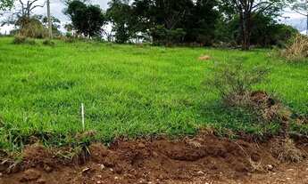 Imagem 7: Chácaras 1.500 m² em Nova Veneza - GO!