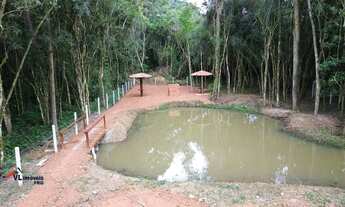 Imagem 7: Linda Chácara á Com 36.000 m² em Mandirituba - PR