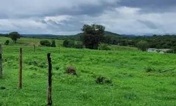 Imagem 6: FAZENDA 354 ALQUEIRES COLINAS DO SUL (GO
