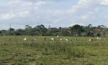 Imagem 7: Terreno à venda na Estrada da Caxanga, Centro, Carapebus - RJ