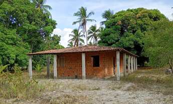 Imagem: Sítio a venda!