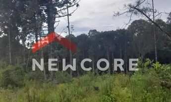 Imagem 7: Lote em Estrada Principal Rincão dos Kroeff - Rincão do kroeff - São Francisco de Paula/RS