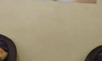 Imagem 6: Aluga-se sítio em lagoa santa ,bairro palmital, MG