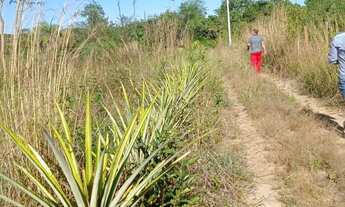 Imagem 4: VENDO!!! SÍTIO 20 HECTARES À VENDA NOSSA SENHORA DO LIVRAMENTO (MT