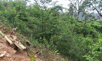 Imagem 6: Chácara Terreno / lote com venda por R$120.000