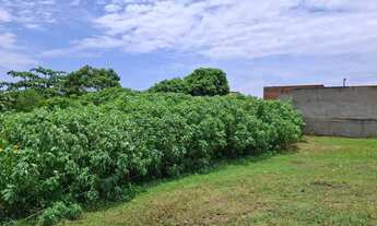 Imagem 3: Excelente Lote de 474m² com Escritura - Loteamento Vale do Ipê