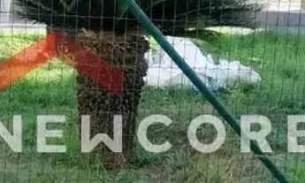 Imagem 6: Apartamento em Rua Risde Attiê - Jardim Europa - Uberlândia/MG