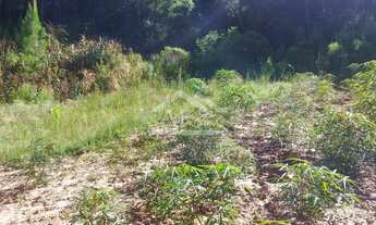 Imagem 5: Terreno com vista, à venda, no Centro de Picada Café, na Serra Gaúcha