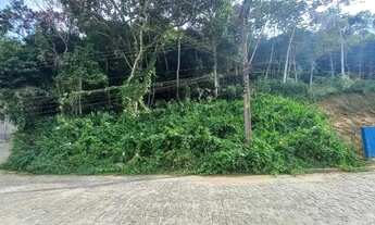 Imagem 3: Área p/ Chácara 2.300m2 21m de frente Parque Governador Ribeirão Pires